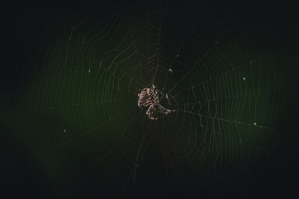 Cum identifici problemele care merită rezolvate