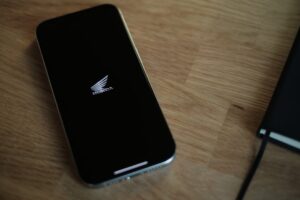 Photo phone battery life