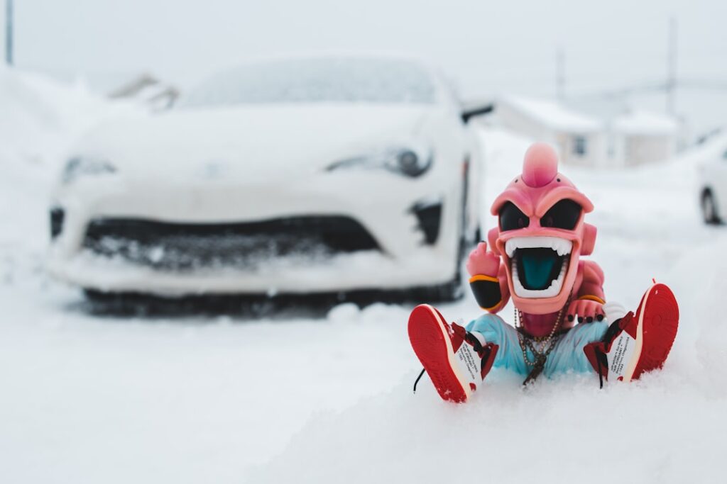 Cum îți protejezi mașina iarna