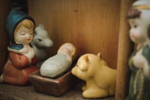 Photo strangest things found online