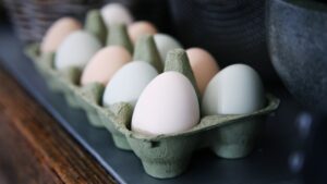 Photo eggs
