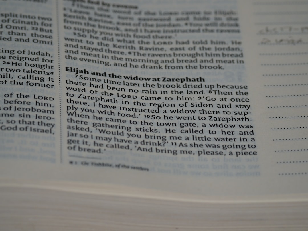 Photo vocabularul