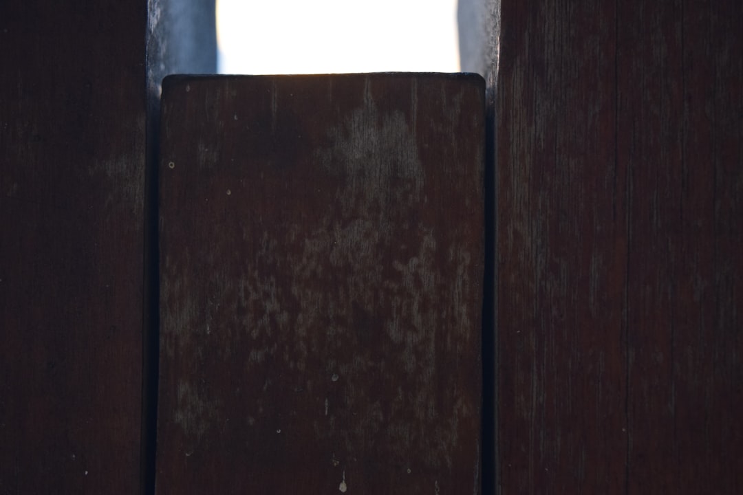 Photo safety door entrance