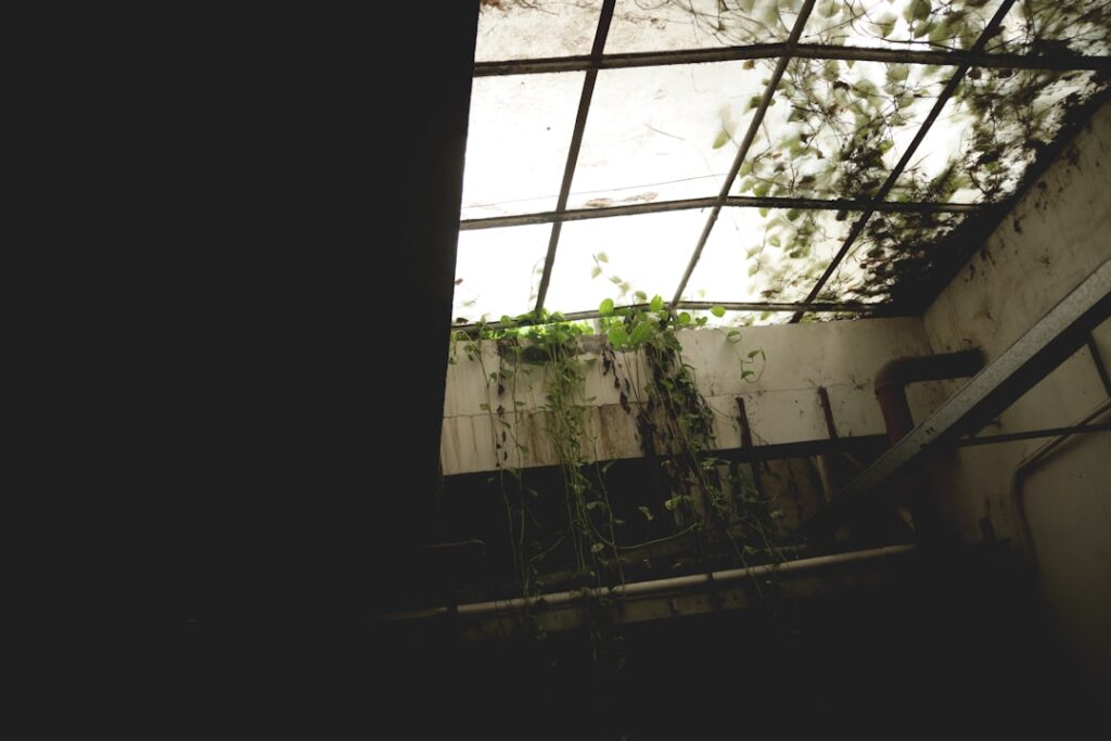 Cum funcționează telefoanele