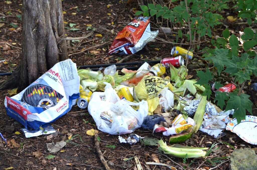 Cum eviți risipa alimentară în bucătărie