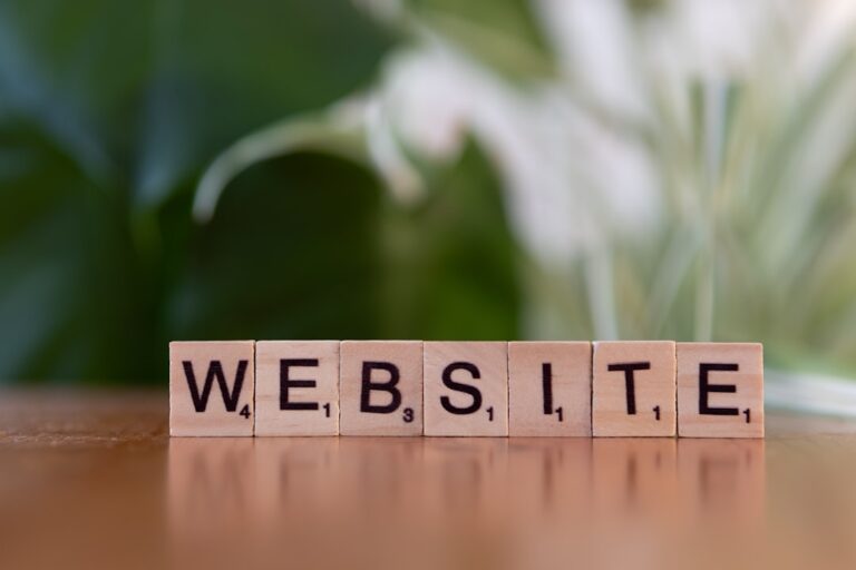 Ce este un domeniu web și cum se alege numele potrivit