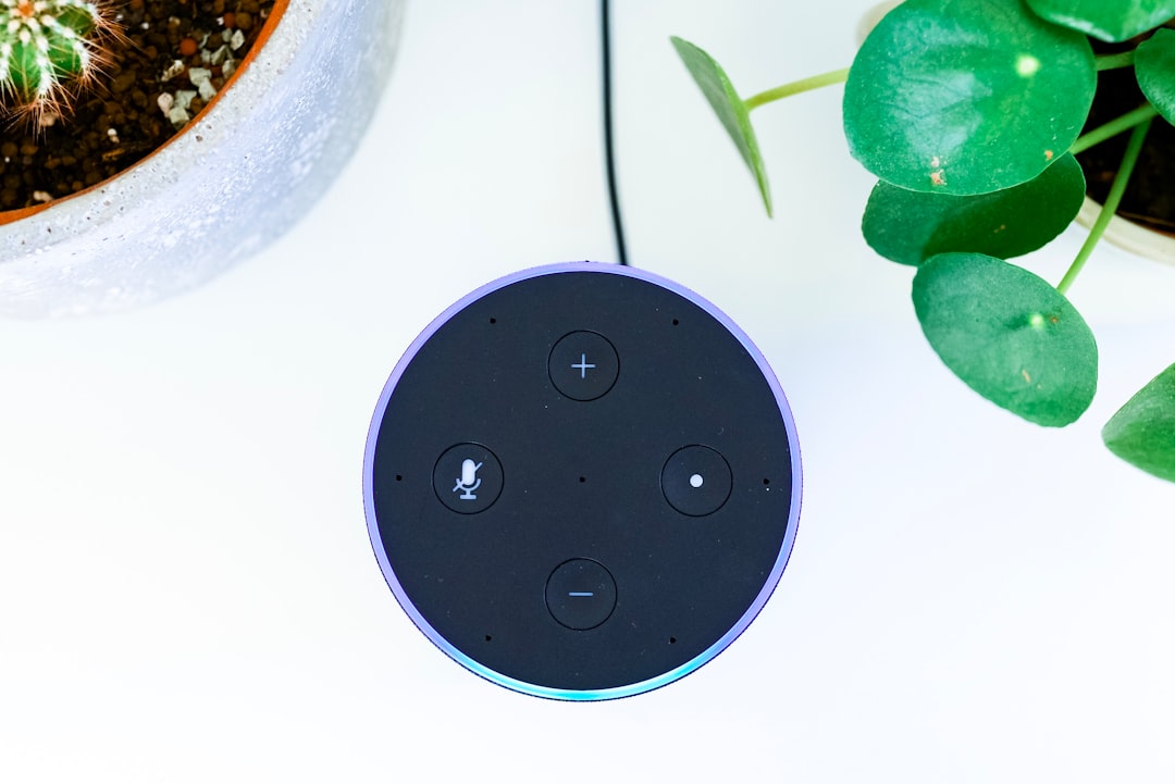 Photo voice assistants